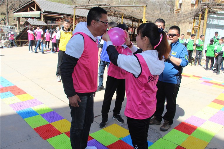 [上海金山博海拓展基地]+一日旅游團建