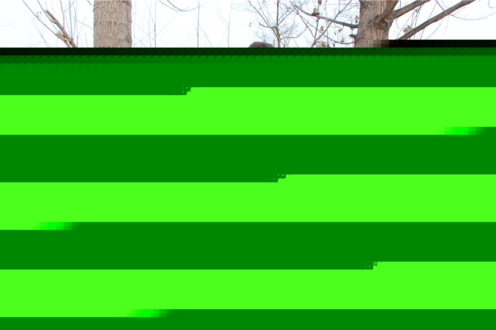 [昌平香堂國際]+戰(zhàn)狼特訓(xùn)一日活動