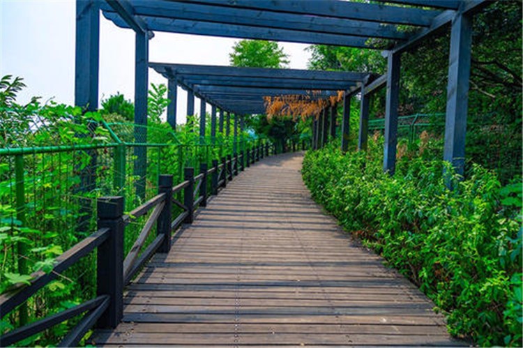 [蘇州樹(shù)山生態(tài)村拓展基地]+場(chǎng)地拓展活動(dòng)