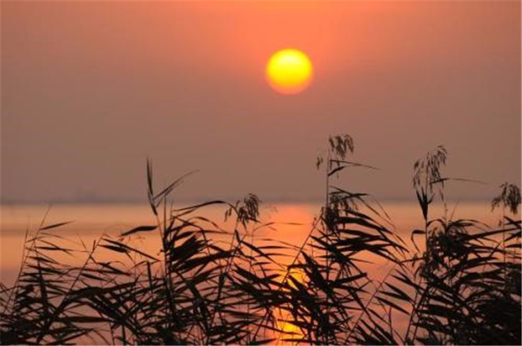 [蘇州太湖三山島野外拓展基地]+戶外徒步一日活動