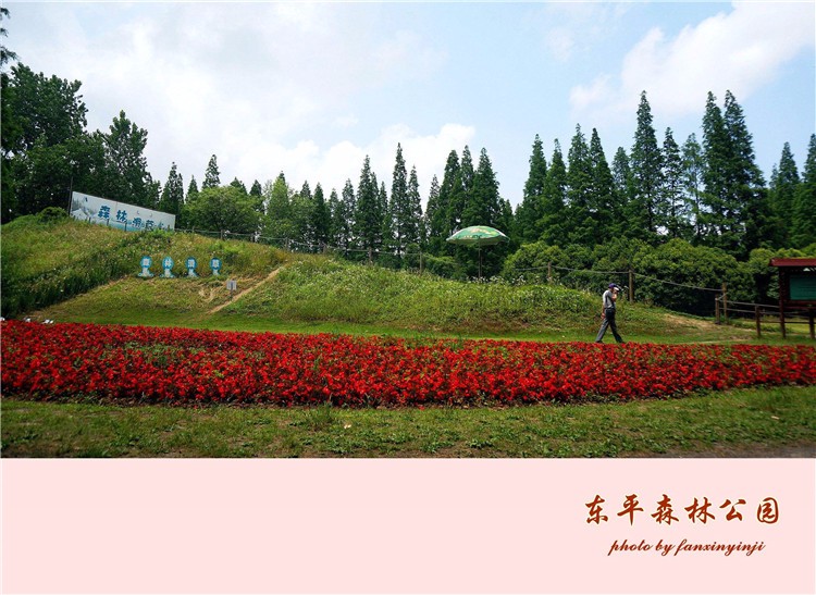 [崇明島東平國家森林公園]野外拓展-戶外穿越一日團(tuán)建活動