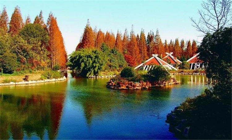 [上海東平森林公園]-主題拓展一日活動(dòng)