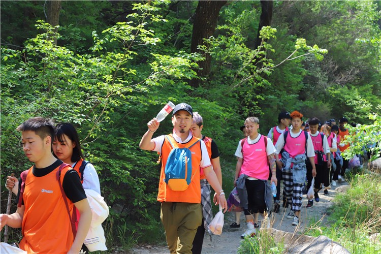 [上海崇明島森林公園]-野外徒步一日團(tuán)建