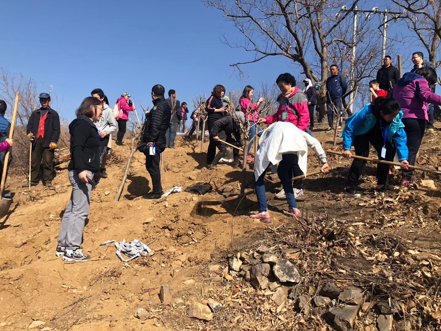 [春季植樹]+守護藍天懷柔一日春季植樹活動